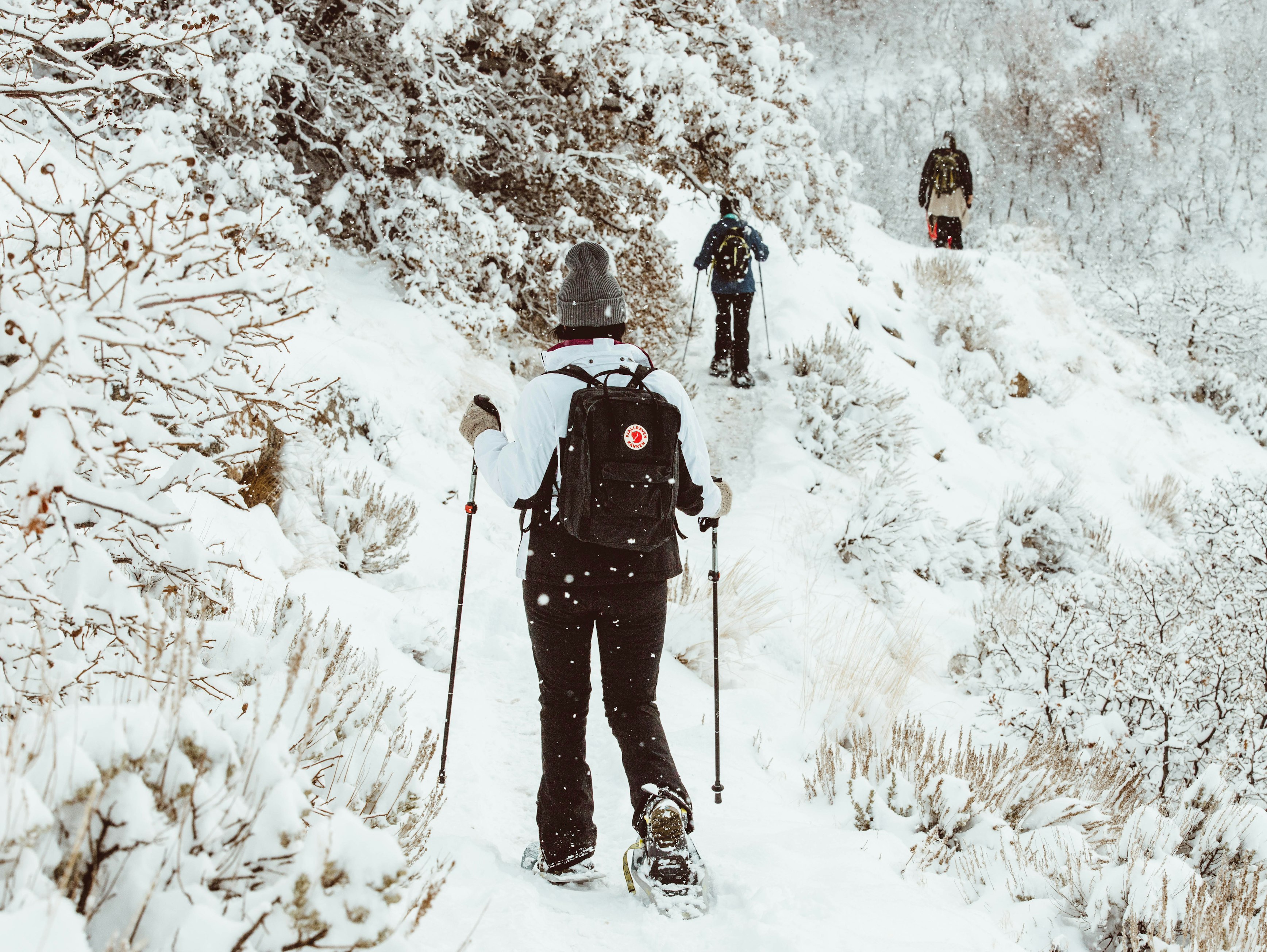 Hotel guests exploring beautiful canyon landscapes